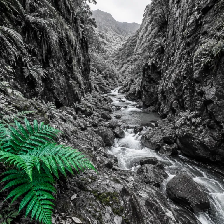 Vallée de Takamaka : la randonnée encaissée où le bruit de l'eau couvre tout le reste
