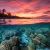 Les poissons de La Réunion : explorer les lagons et récifs coralliens en snorkeling