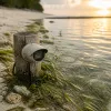 Vivre le lagon de l’Hermitage en direct : webcams, plages et océan Indien