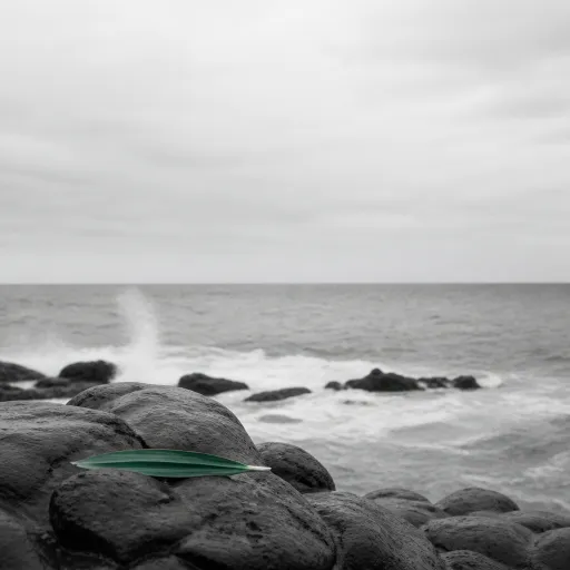 La pointe du Tremblet : immersion sur le littoral sauvage du Sud de La Réunion