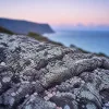 Itinéraires photo d’exception pour voyager à La Réunion au rythme des panoramas