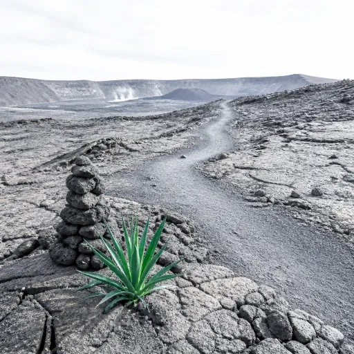 Vivre l’expérience du piton de la fournaise à La Réunion : guide des randonnées et du volcan actif