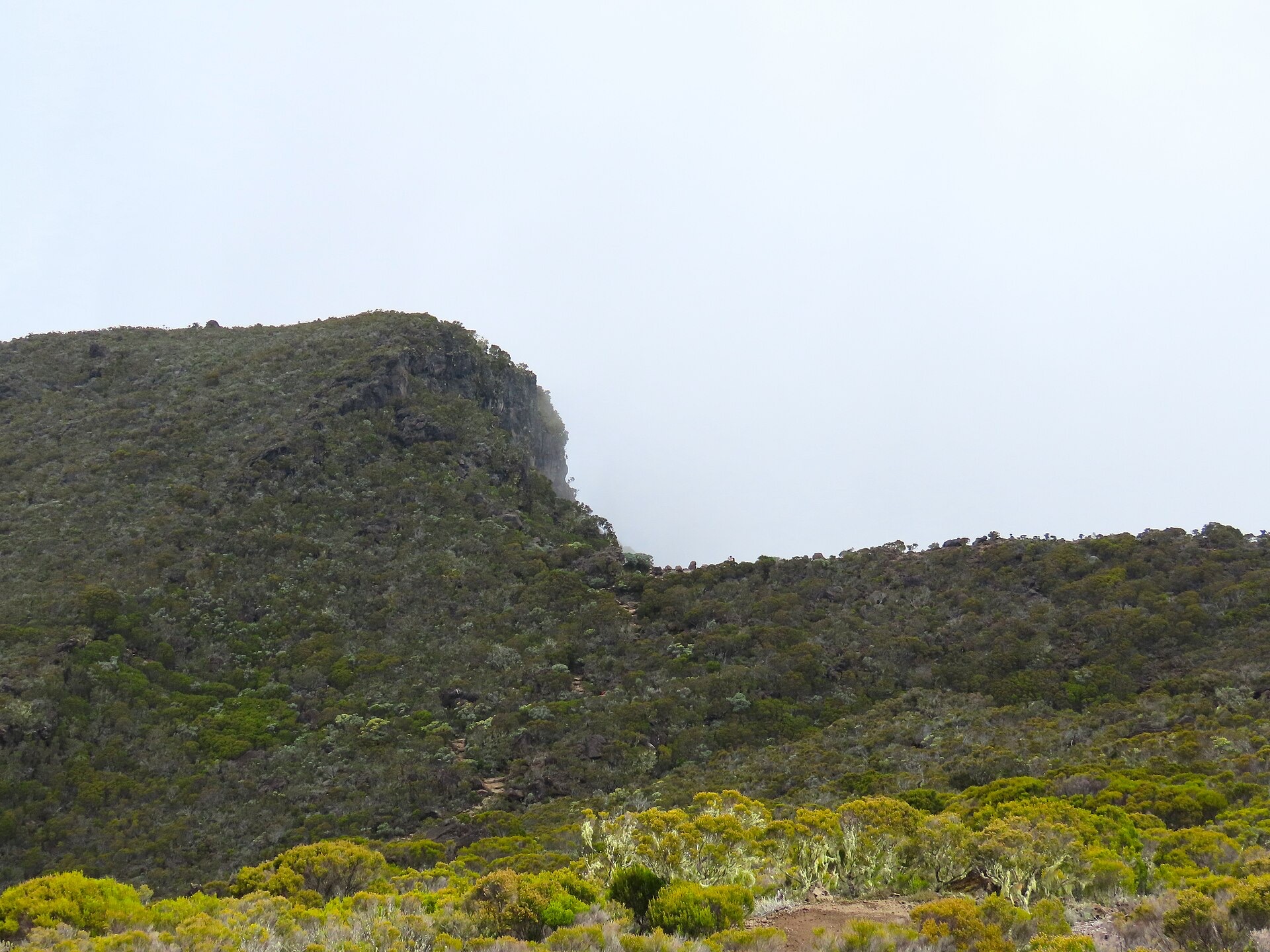 Le sentier du Bloc, voie normale du Piton des Neiges, entre végétation d'altitude et rempart rocheux