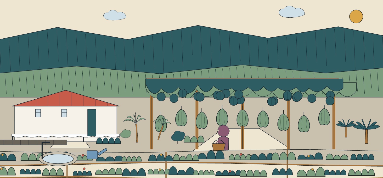 Illustration d'un jardin créole et d'une treille de chouchous devant une case à varangue