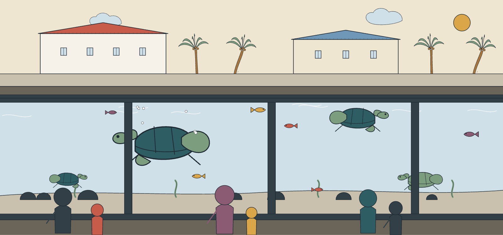 Illustration des bassins de tortues marines de Kélonia à Saint-Leu