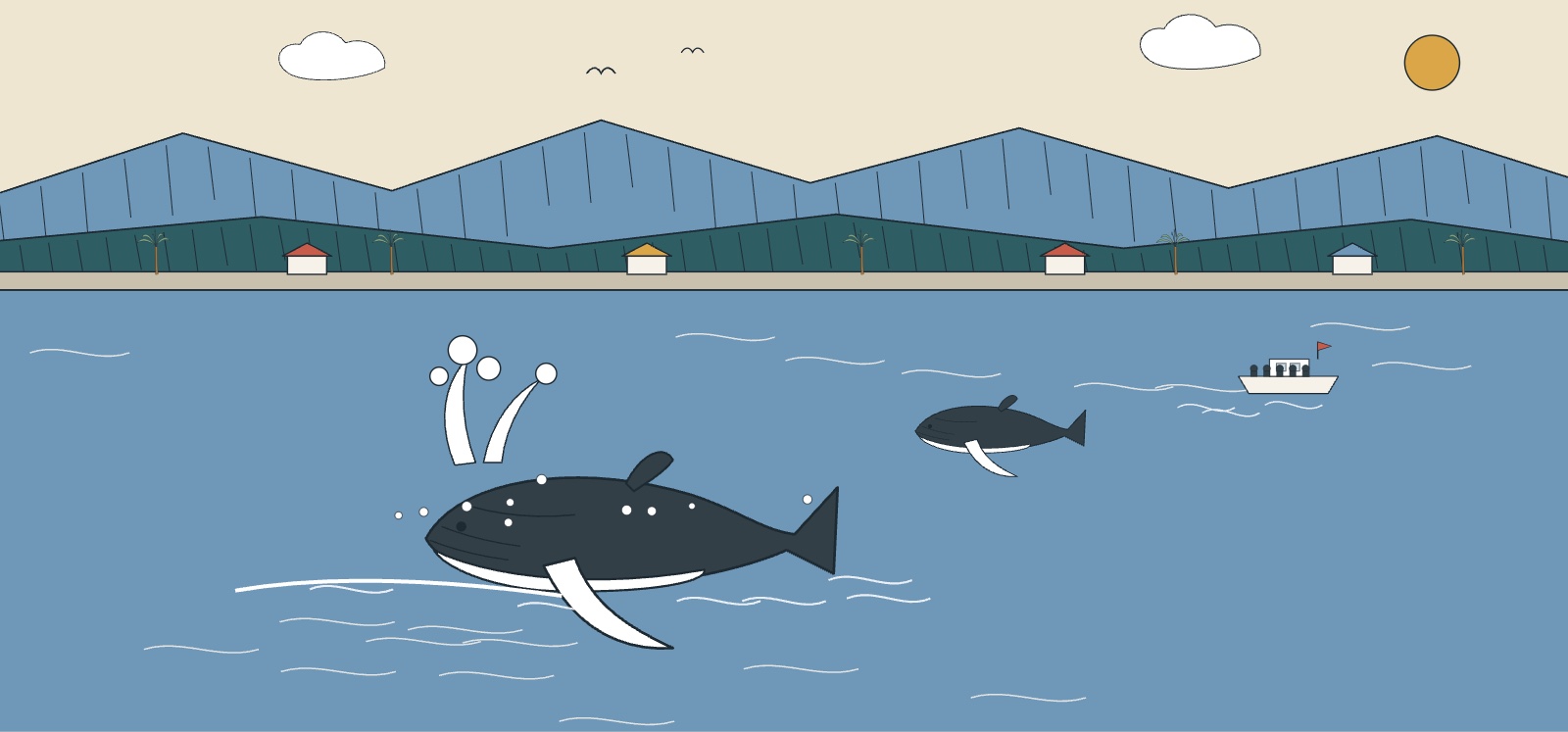 Illustration d'une baleine à bosse et de son baleineau observés à distance depuis un bateau