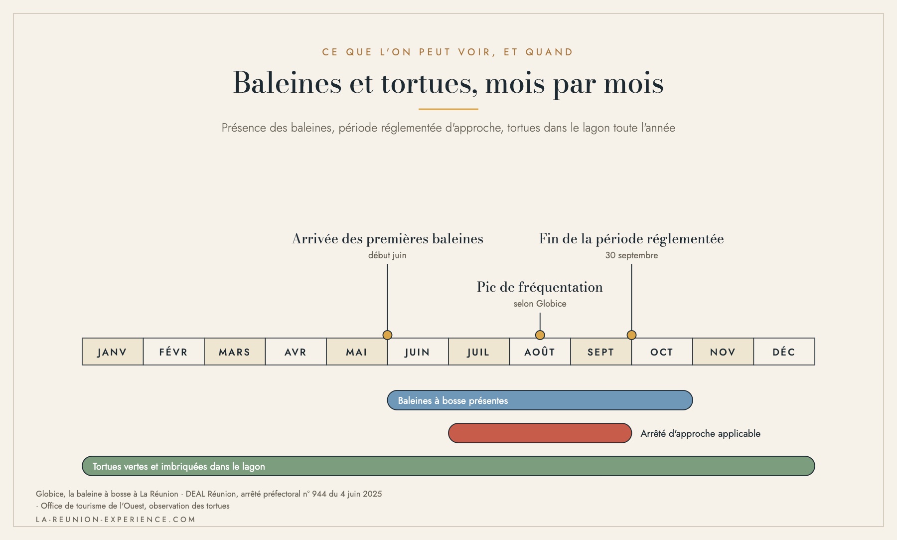 Frise des mois montrant la présence des baleines à bosse, la période réglementée d'approche et la présence des tortues