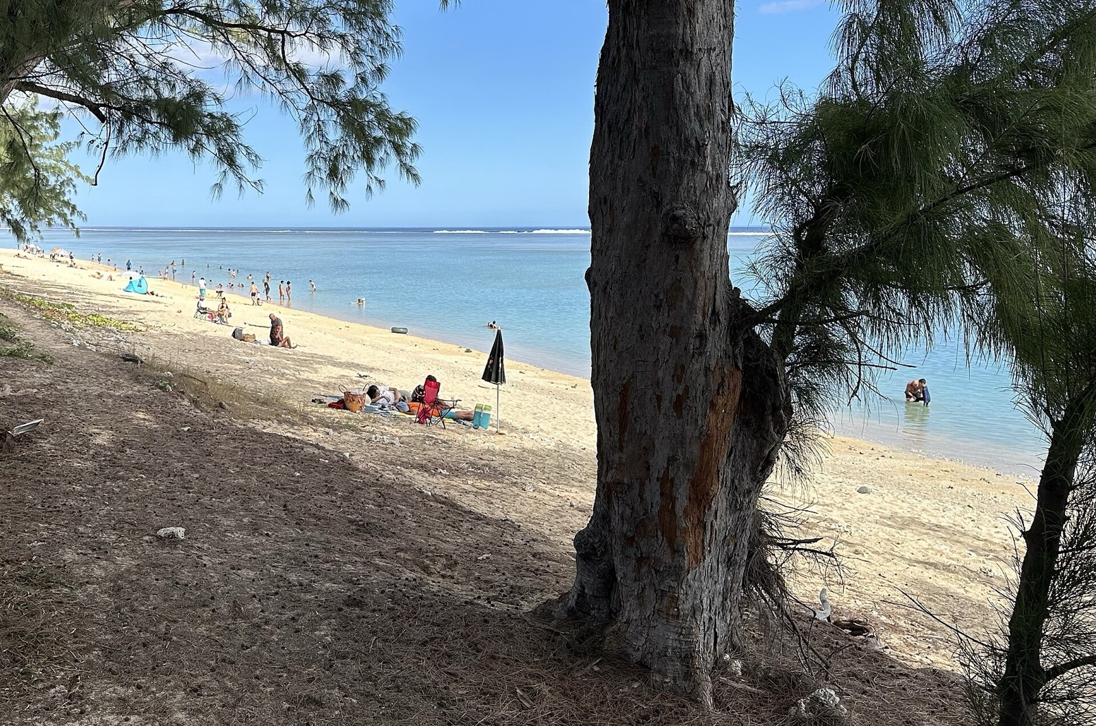 La plage de l'Hermitage à Saint-Gilles, sable blanc, filaos et eau turquoise du lagon