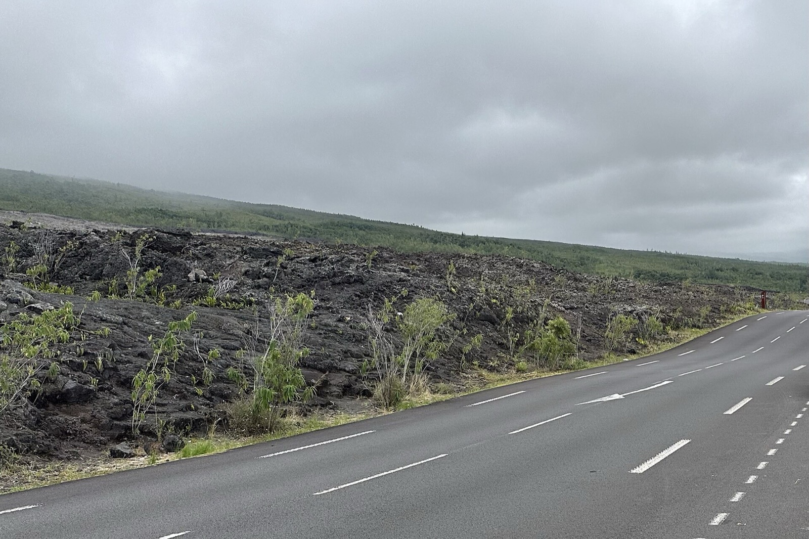 La RN2 traversant une coulée de lave du Grand Brûlé, à La Réunion, avec la végétation qui recolonise